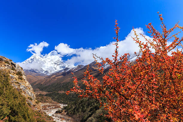 nepali village autumn